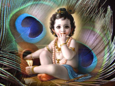 Information about birth festival of lord krishna Krishna Ashtami celebrations 2013 in india